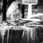 Zrooms&suites Boutique Hotel Zaragoza