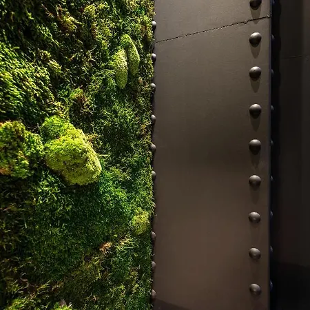 The Black Boutique -- Turistea 4*