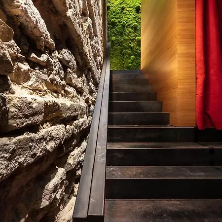 The Black Boutique -- Turistea فندق 4*