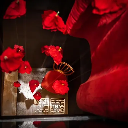 Zrooms&suites Boutique 4* Zaragoza