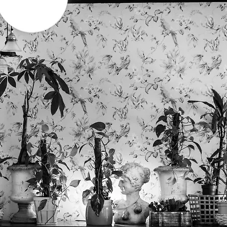 Zrooms&suites Boutique Otel