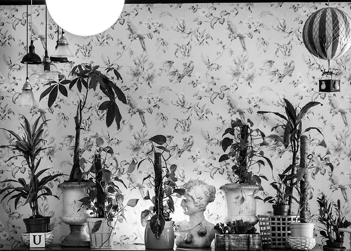 Zrooms&suites Boutique מלון